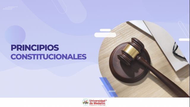 Principios constitucionales