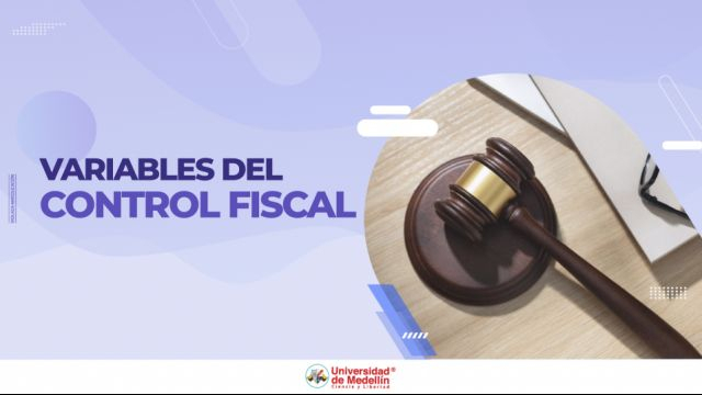 Variables del control fiscal