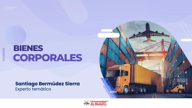 Bienes corporales