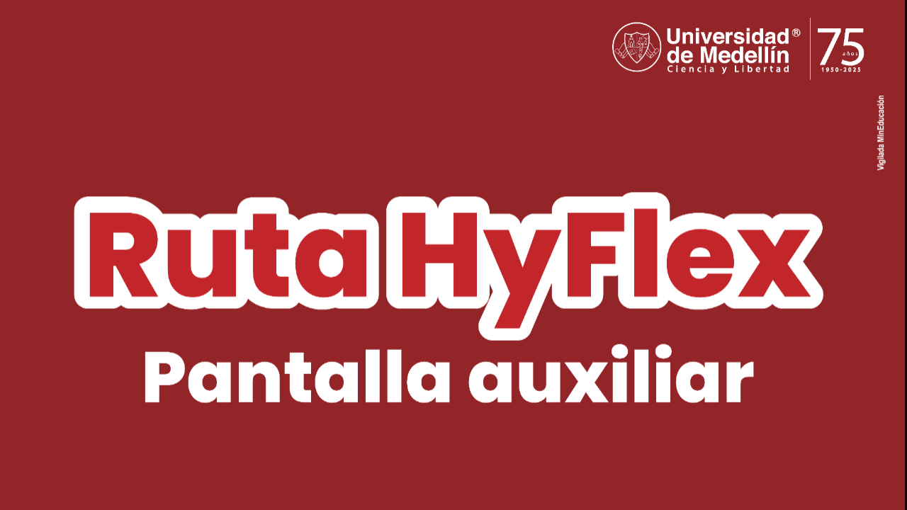 Pantalla auxiliar