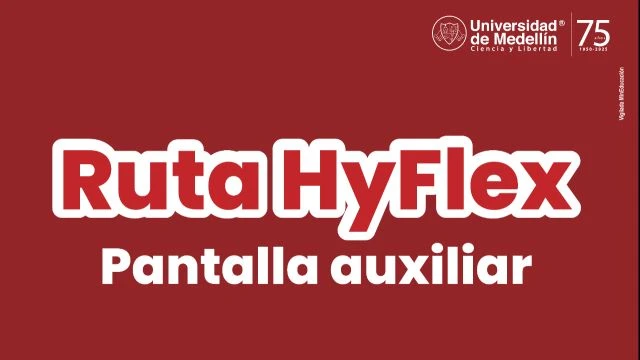 Pantalla auxiliar