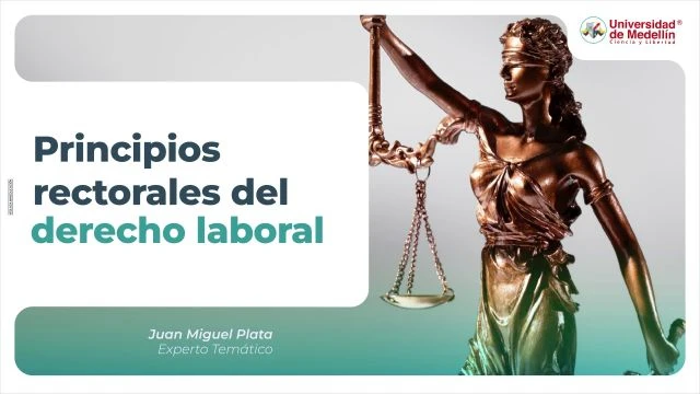 Principios rectorales del derecho laboral