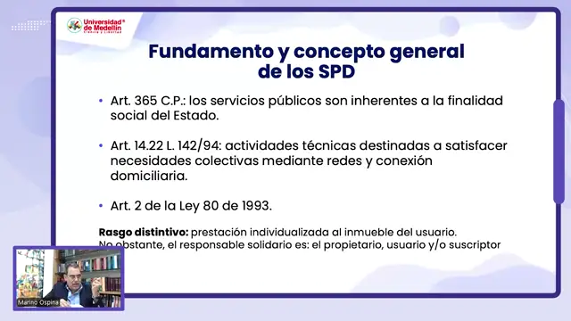 Fundamentos constitucionales y principios de los SPD