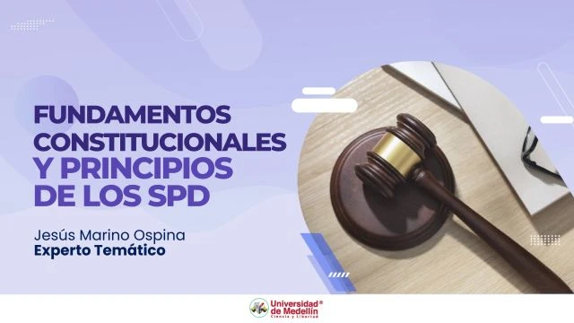 Fundamentos constitucionales y principios de los SPD
