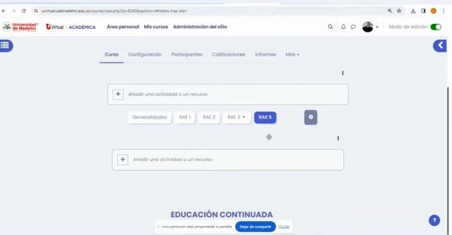 Organización y pestañas
