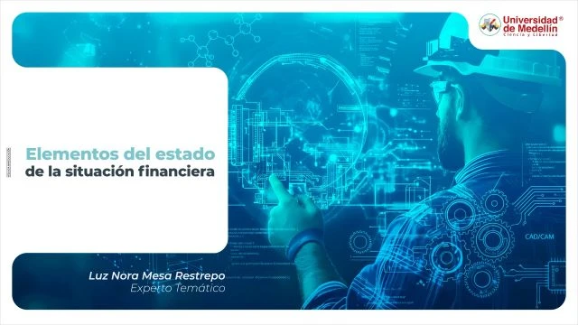 Elementos del estado de la situación financiera